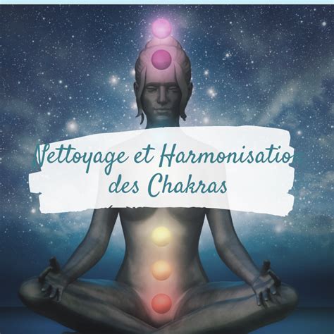 Chakras Nathalie Nadeau Chamane Urbaine