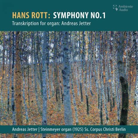 Andreas Jetter Hans Rott Symphony No 1 E Major Transkription For