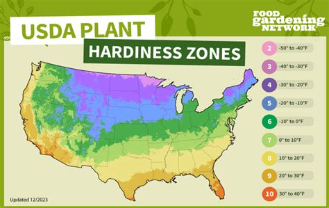 Growing Zones For Parsley Food Gardening Network