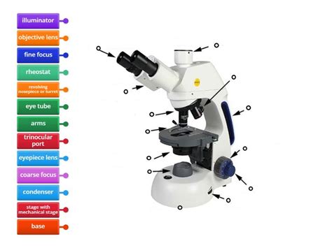 microscope - Labelled diagram