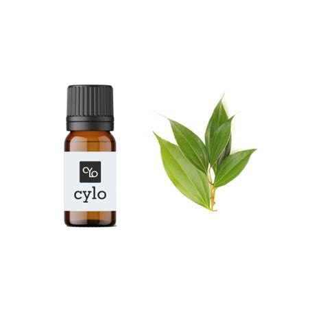 Cinnamon Leaf – Ceylonspiceage