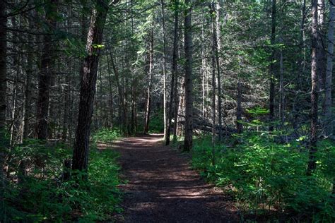 Farragut State Park In Athol Id America S State Parks