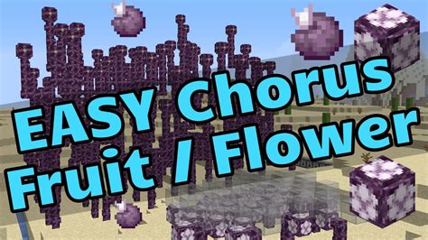 Easy Chorus Flower Farm Easy Chorus Fruit Farm Minecraft Java Youtube