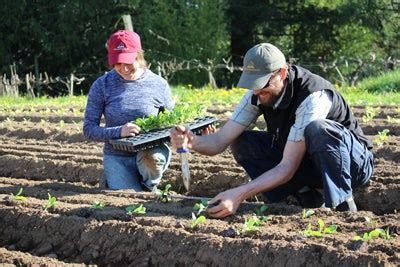 Farmer Training Internship In Washington Beginning Farmers