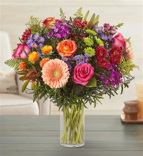 September Birth Flowers | Aster and Morning Glory | Petal Talk