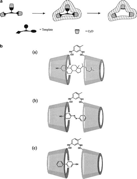 A Schematic Representation Of An Ordered Assembly Of Cyclodextrin Download Scientific Diagram