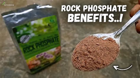 Rock Phosphate Organic Fertilizer - Organic Foods Grown on Earth