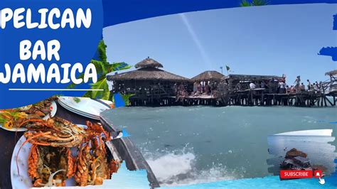 Pelican Bar Jamaica Youtube