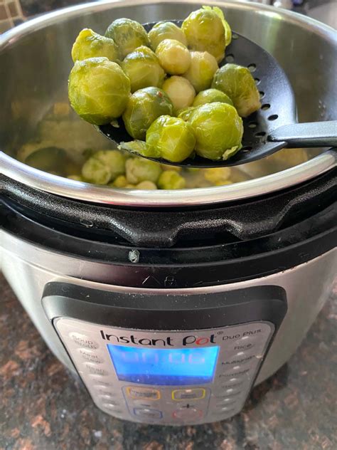 Instant Pot Frozen Brussels Sprouts Melanie Cooks