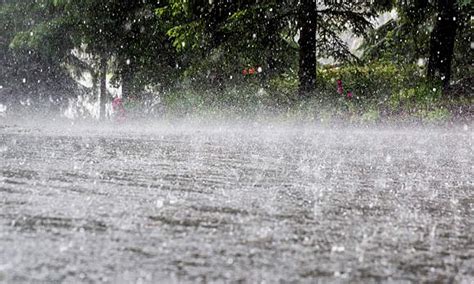 Weather Forecast Rain And Thunderstorms Predicted For Coastal Andhra