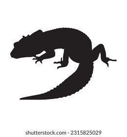 208 Leopard Gecko Silhouette Images, Stock Photos, 3D objects ...