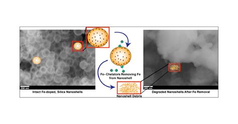 Ironiii Doped Silica Nanoshells A Biodegradable Form Of Silica