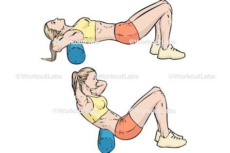 Foam Roller Upper Back Stretch – WorkoutLabs Exercise Guide