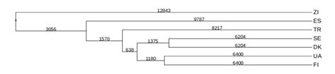 Dated Phylogenetic Tree Showing The Genomic Relatedness Of The