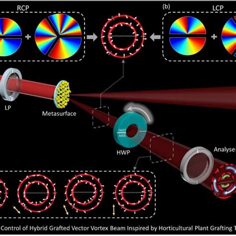 Dynamic Control Of Hybrid GPVVB Polarization A Polarization Control