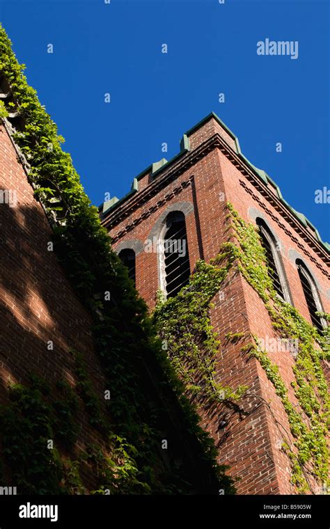 Building With Vines Stock Photo Alamy