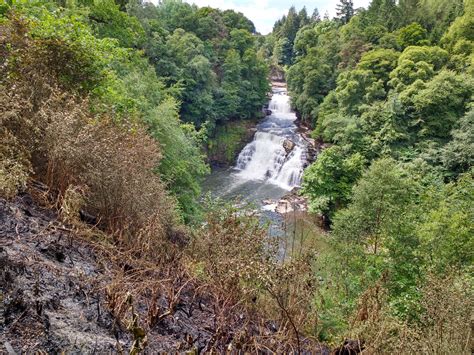 Falls Of Clyde Wildlife Reserve Scottish Wildlife Trust