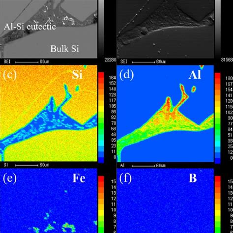 Image Of The Interface Of Bulk Si Al Si Eutectic And Primary Si A