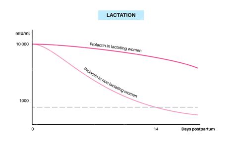 Premium Vector | Lactation infographics prolactin level in the woman ...