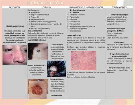 Tumores Dermatol Gicos Patolog A Cl Nica Diagn Stico E Histopatolog A