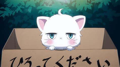 These Anime Cats Have Unique Attitudes About Their Owners