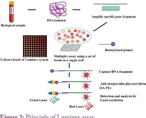 Figure 2 From Comparison Of Different Molecular And Serological Assays