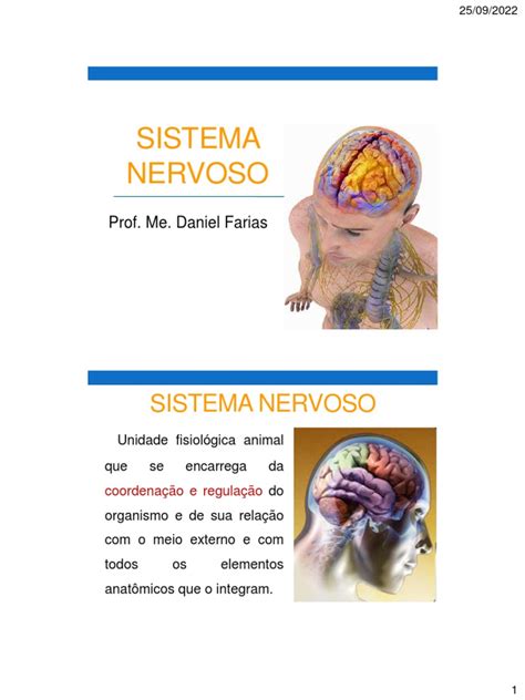 Sistema Nervoso Pdf Neurônio Nervo