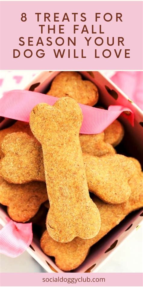 8 Treats For The Fall Season Your Dog Will Love Healthy Dog Treats