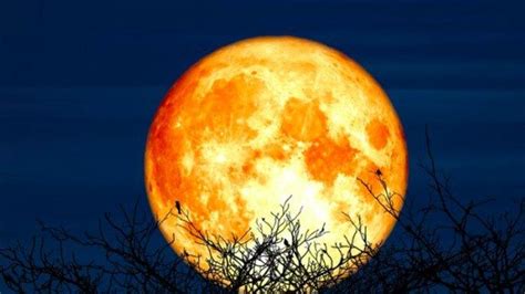 Malam Ini Terjadi Fenomena Supermoon Begini Cara Menyaksikan Dan