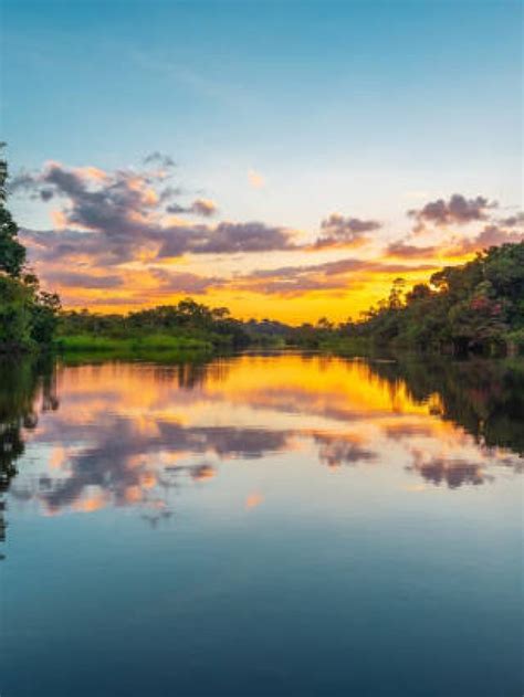 A Pior Seca Do Pantanal Pode Estar A Caminho Em 2024 Portal Leouve