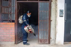 Con éxito se realizó la campaña de fumigación masiva contra el dengue