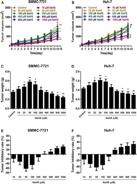 Effect Of H 2 S On The Growth Of Smmc 7721 And Huh 7 Xenograft Tumors Download Scientific