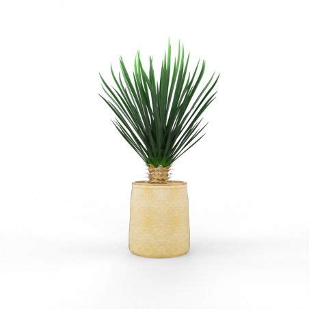 Yucca Artificiel Plantes Artificielles Consultez Nos Produits En