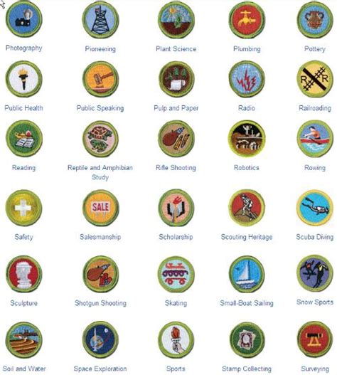 Public MERIT BADGE LIST - Boy Scout Troop 142 (Bardstown, Kentucky ...