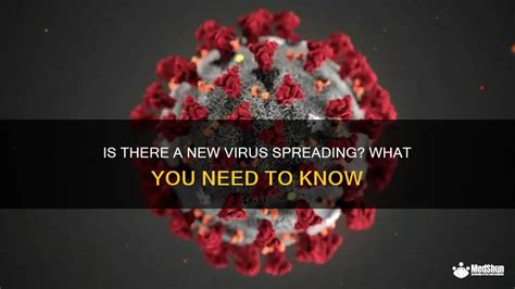 Is There A New Virus Spreading What You Need To Know Medshun