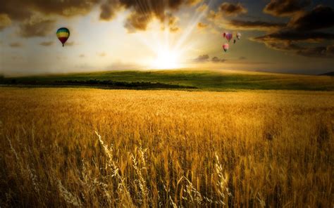 1920x1200 Field Autumn Balloons Flight Colors Paints Sun Light Evening Decline