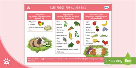 Guinea Pig Fresh Food Chart