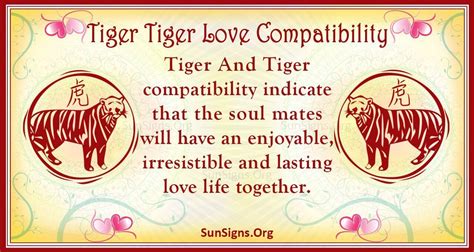 Tiger And Tiger Compatibility: Lasting Bond - SunSigns.Org