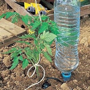 Arrosage Goutte A Goutte Avec Bouteille D Eau