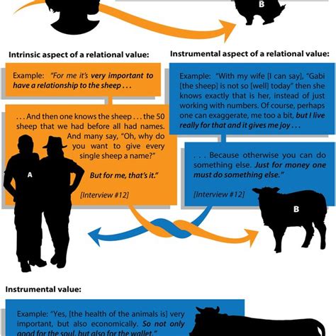 Differences Between Intrinsic Relational And Instrumental Values The