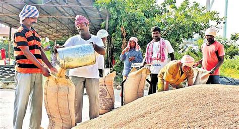 Over Lakh Mt Of Paddy Worth Rs Cr Procured In Telangana