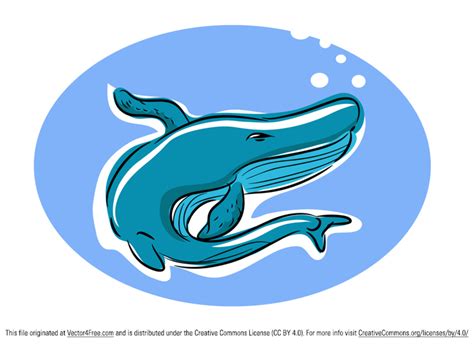 Free Whale Cartoon Vector