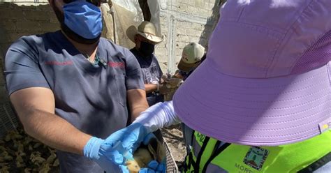 Lo Mejor De La Semana Secretar A De Agricultura Y Desarrollo Rural