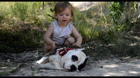 Амстафф и соседская девочка - YouTube