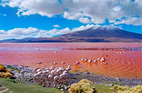 Salar de Uyuni 3 días Compartido Guiastours cl City Tour