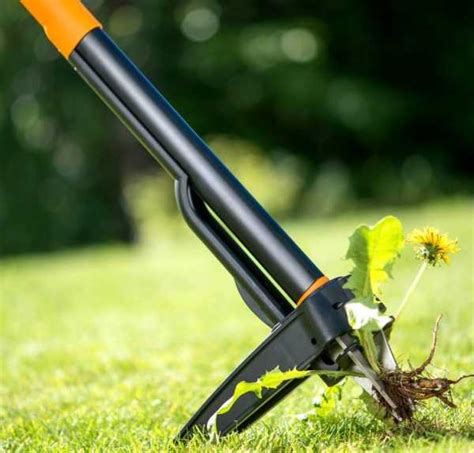 Инструменты сельскохозяйственные – Садовый инструмент - 75 фото самых ...