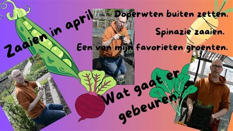 Vlog Wat Zaaien We Nog Meer In April Youtube