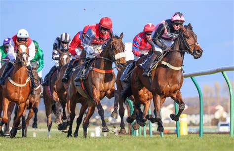 Fixture List Ayr Racecourse Scotlands Premier Racecourse