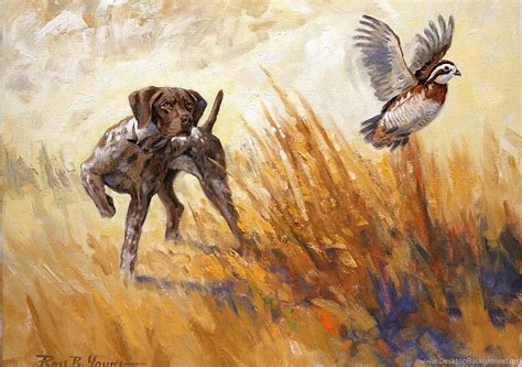 German Shorthaired Pointer Hunting Backgrounds German Shorthaired