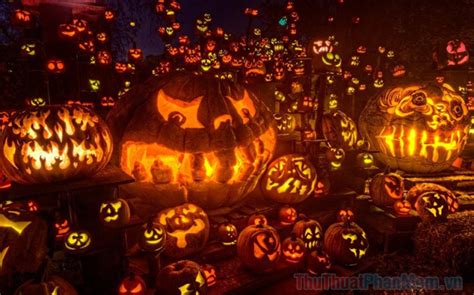 Hình ảnh bí ngô Halloween đẹp TRẦN HƯNG ĐẠO